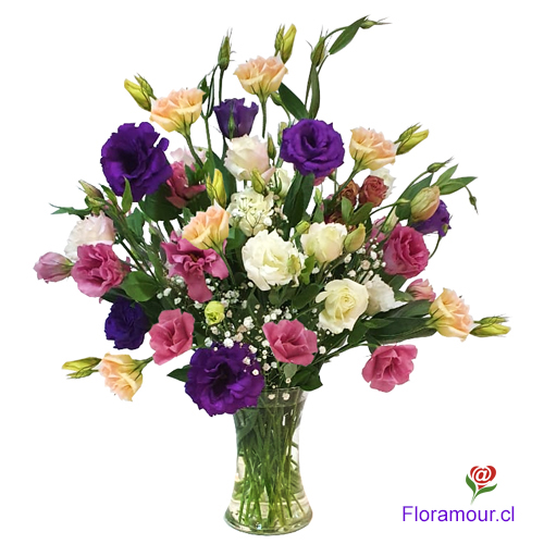 Fino Florero de lisianthus cultivados, en tonos variados. Sólo Santiago